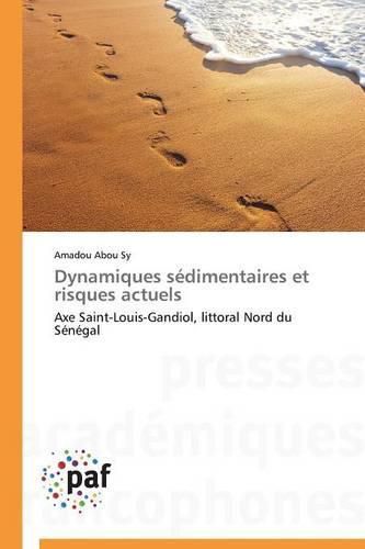 Cover image for Dynamiques Sedimentaires Et Risques Actuels