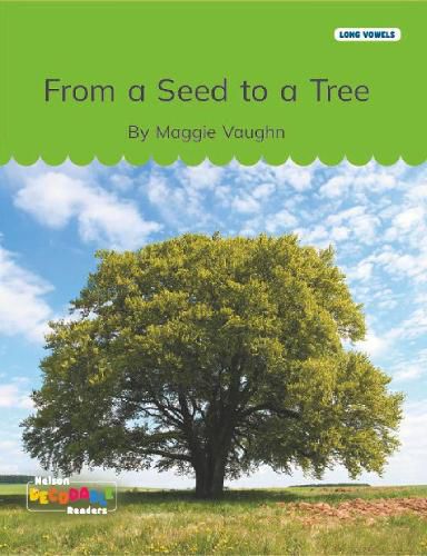 Cover image for From a Seed to a Tree (Long Vowels Alternative Spellings)