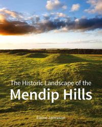 Cover image for The Historic Landscape of the Mendip Hills