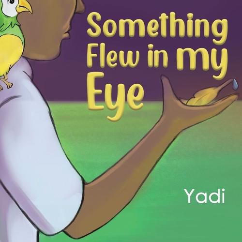 Cover image for Something Flew in my Eye
