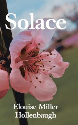 Cover image for Solace