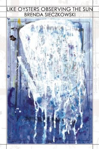 Cover image for Like Oysters Observing the Sun