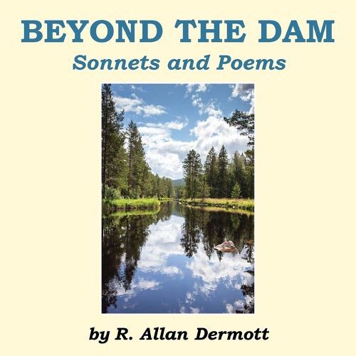 Cover image for Beyond the Dam