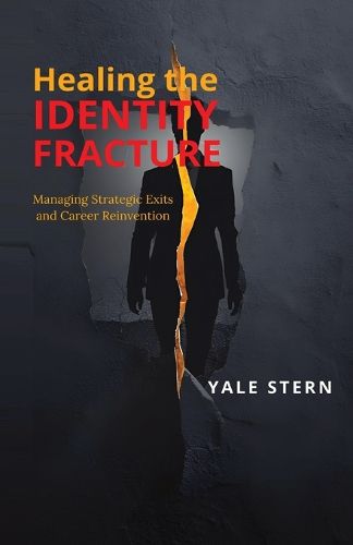Cover image for Healing the Identity Fracture
