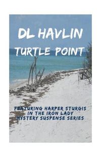 Cover image for Turtle Point