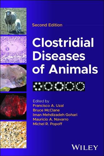 Cover image for Clostridial Diseases of Animals