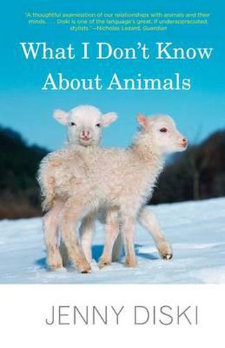 Cover image for What I Don't Know About Animals