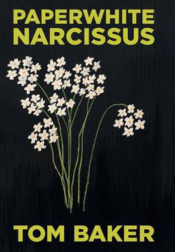 Cover image for Paperwhite Narcissus