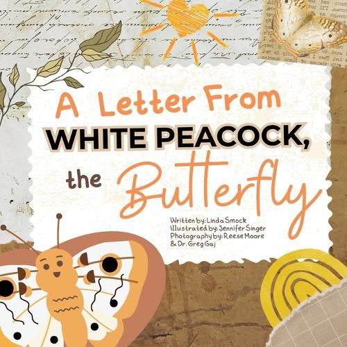 Cover image for A Letter from White Peacock the Butterfly