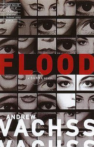 Cover image for Flood