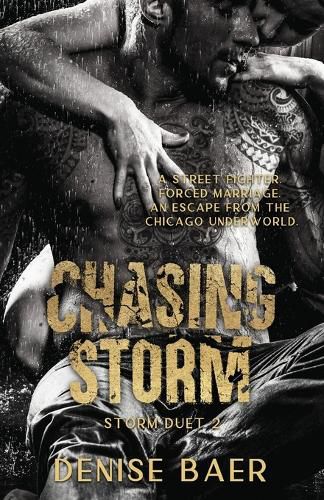 Cover image for Chasing Storm