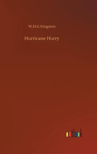 Cover image for Hurricane Hurry