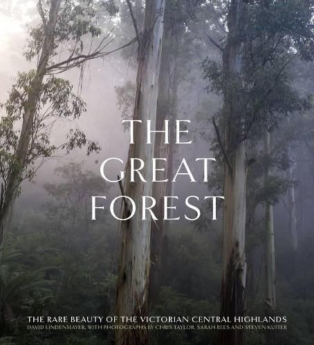 The Great Forest: The Rare Beauty of the Victorian Central Highlands