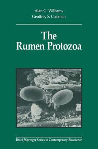 The Rumen Protozoa