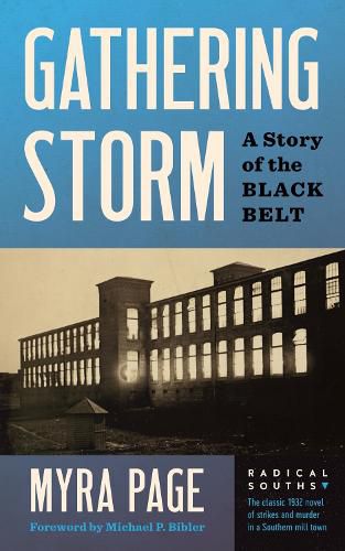 Cover image for Gathering Storm