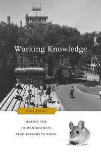 Cover image for Working Knowledge: Making the Human Sciences from Parsons to Kuhn