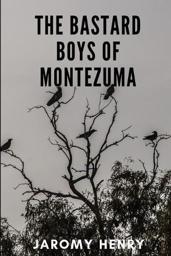 Cover image for The Bastard Boys of Montezuma