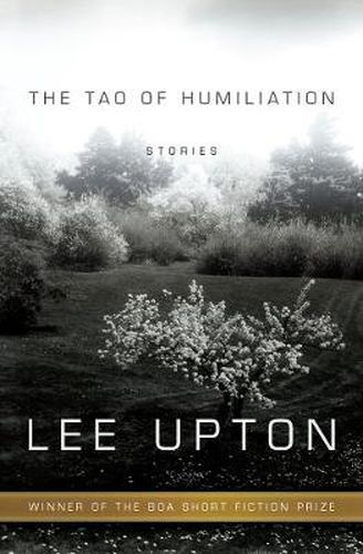 Cover image for The Tao of Humiliation