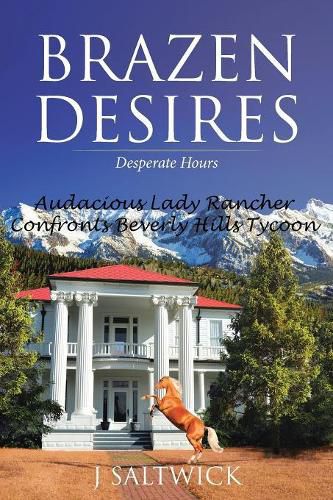 Cover image for Brazen Desires: Desperate Hours