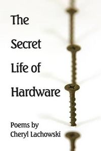 Cover image for The Secret Life of Hardware