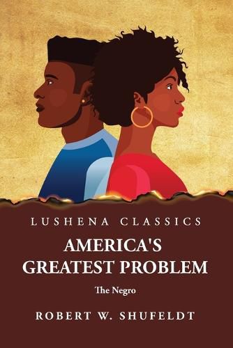 Cover image for America's Greatest Problem The Negro