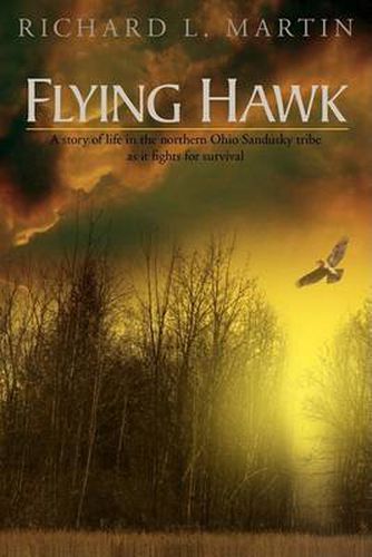 Cover image for Flying Hawk