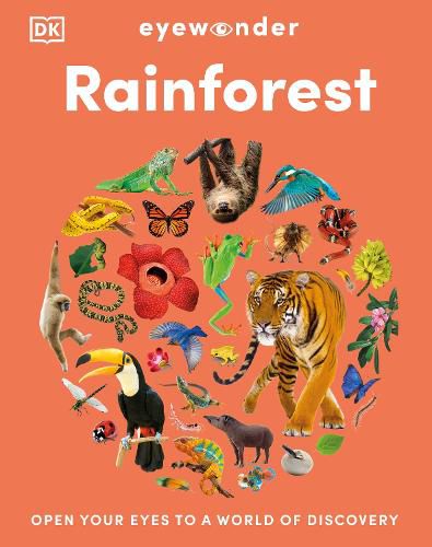Cover image for Eyewonder Rainforest