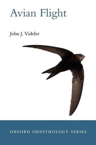 Cover image for Avian Flight