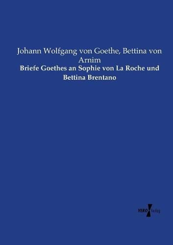 Cover image for Briefe Goethes an Sophie von La Roche und Bettina Brentano