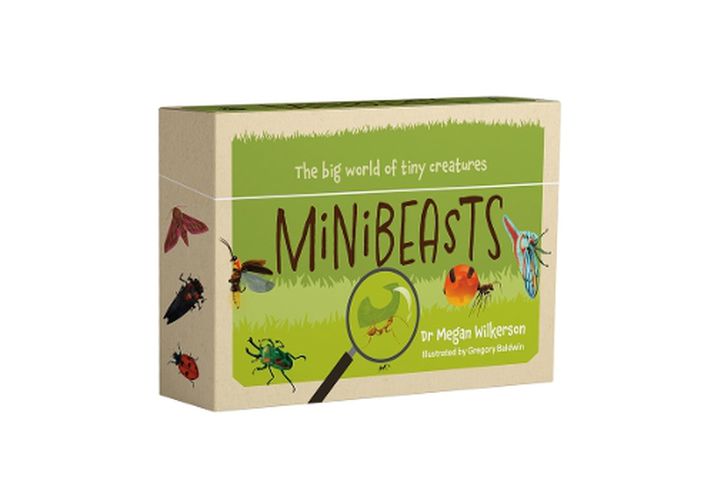 Cover image for Minibeasts