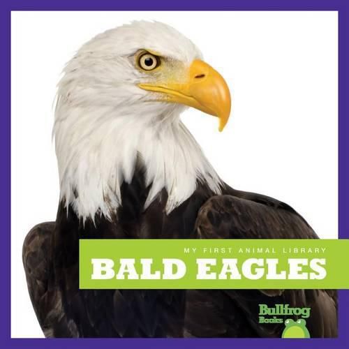 Bald Eagles