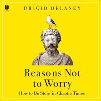 Cover image for Reasons Not to Worry