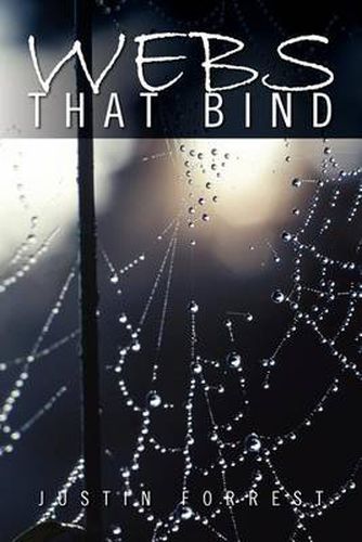 Cover image for Webs That Bind