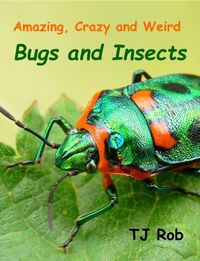 Cover image for Amazing, Crazy and Weird Bugs and Insects: (Age 6 and Above)