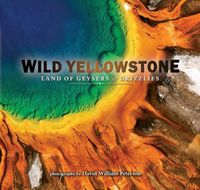 Cover image for Wild Yellowstone