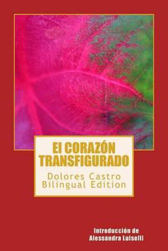 Cover image for El corazon transfigurado: The Transfigured Heart