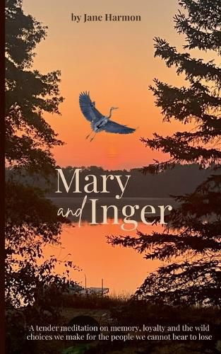 Cover image for Mary and Inger