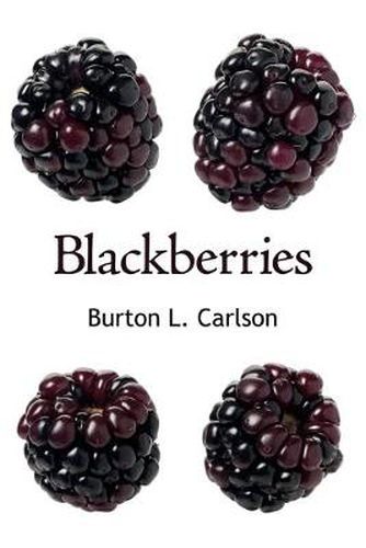 Cover image for Blackberries