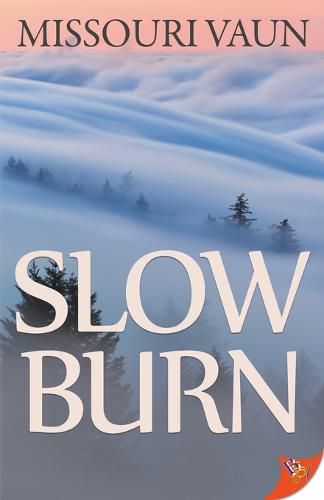 Cover image for Slow Burn