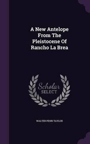 A New Antelope from the Pleistocene of Rancho La Brea