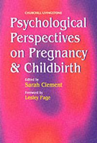 Cover image for Psychological Perspectives on Pregnancy and Childbirth