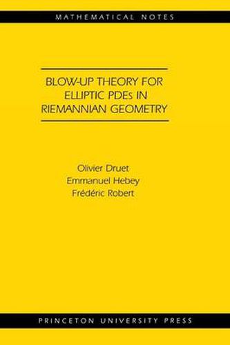 Cover image for Blow-Up Theory for Elliptic PDEs in Riemannian Geometry