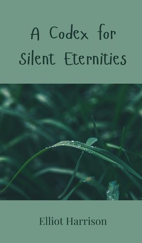 Cover image for A Codex for Silent Eternities