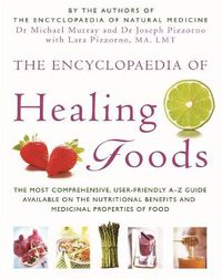 Cover image for The Encyclopaedia Of Healing Foods