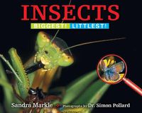 Cover image for Insects: Biggest! Littlest!