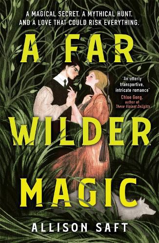 Cover image for A Far Wilder Magic