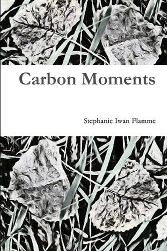 Cover image for Carbon Moments
