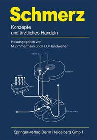 Cover image for Schmerz: Konzepte Und AErztliches Handeln