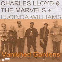 Cover image for Vanished Gardens ***vinyl
