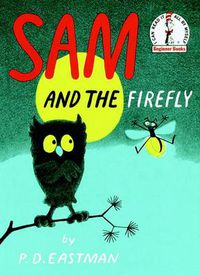 Cover image for Sam and the Firefly